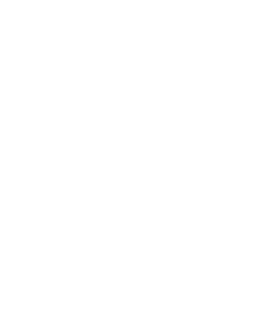 NK_300_W